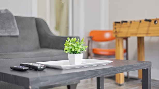 A living room with a grey sofa, a small white table with a potted plant, and a few remote controls on the table. - 3 BR Cozy Home Near Indy Downtown , Foosball Table (Indianapolis)