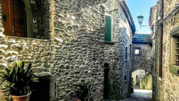 A narrow stone alleyway with potted plants, a stone building with a green shutter, and a street lamp. - Gorgeous apartment in Pontremoli (Pontremoli)