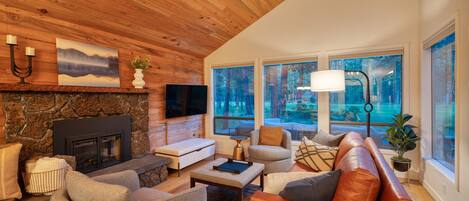 Smart TV, fireplace, books, stereo