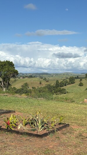 Property grounds - Hilltop haven spectacular views on the edge of pure rainforest Malanda.   (Jaggan)