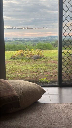 Interior - Hilltop haven spectacular views on the edge of pure rainforest Malanda.   (Jaggan)