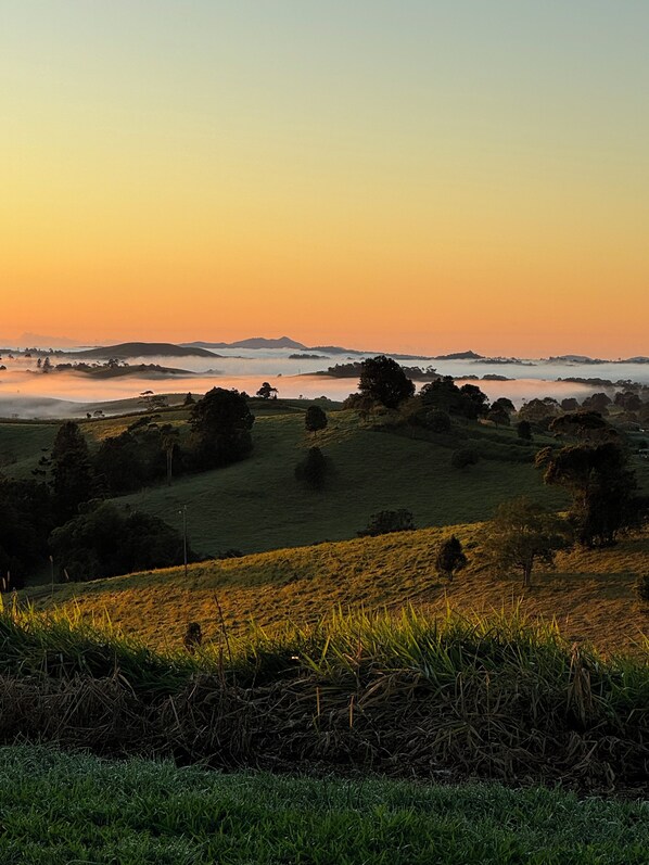 Un paisaje con colinas ondulantes, árboles y una masa de agua al atardecer.