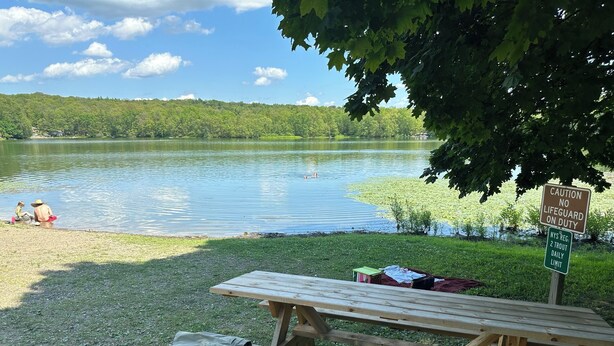 A lakeside picnic area with a wooden bench and picnic table, a sign indicating no lifeguard on duty, and a trout daily limit sign. - Charming cottage with lake access, wood burning fire place, and WiFi (Elizaville)