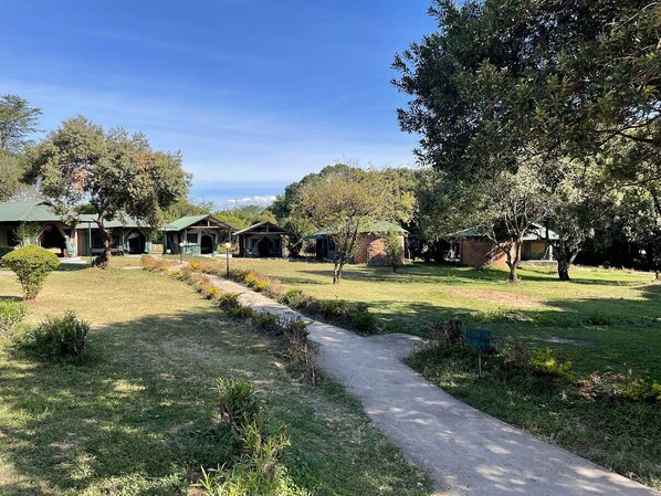 View from property - Miti Mingi Eco Camp (Narok)