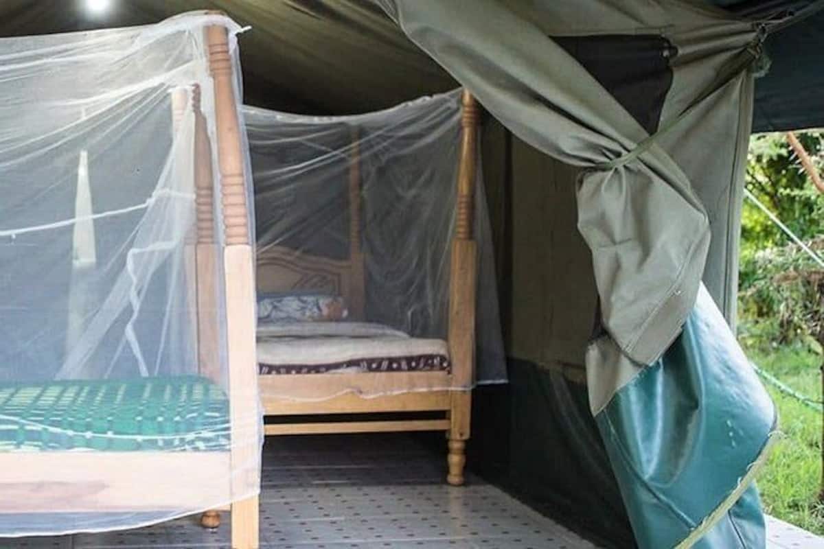 A single bed with a mosquito net and a wooden frame, under a tent-like structure.