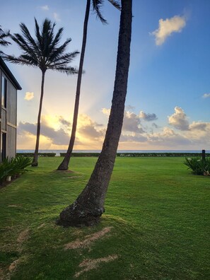 Property grounds - Charming 2-bedroom, 2-bath condo at Pono Kai Beachfront Resort (Kapaa)