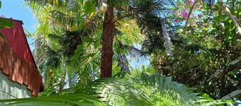 Atypical kreol apartment with swimming pool near Salazie Takamaka...