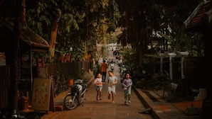 A narrow street lined with trees and parked motorcycles.