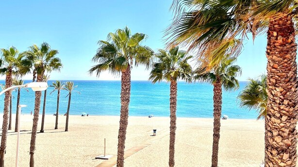 Een strand met palmbomen en een helderblauwe lucht.