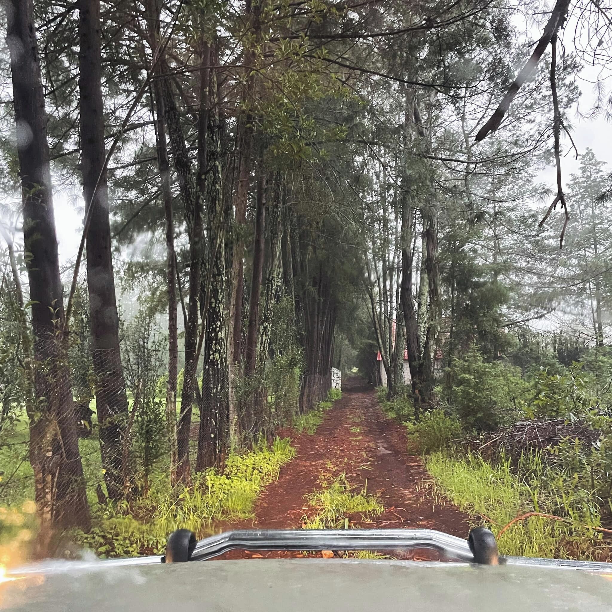 Overnatningsstedets indgangsparti