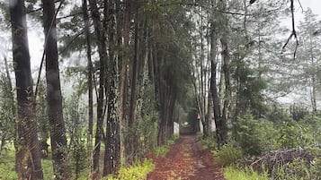 Pintu masuk properti