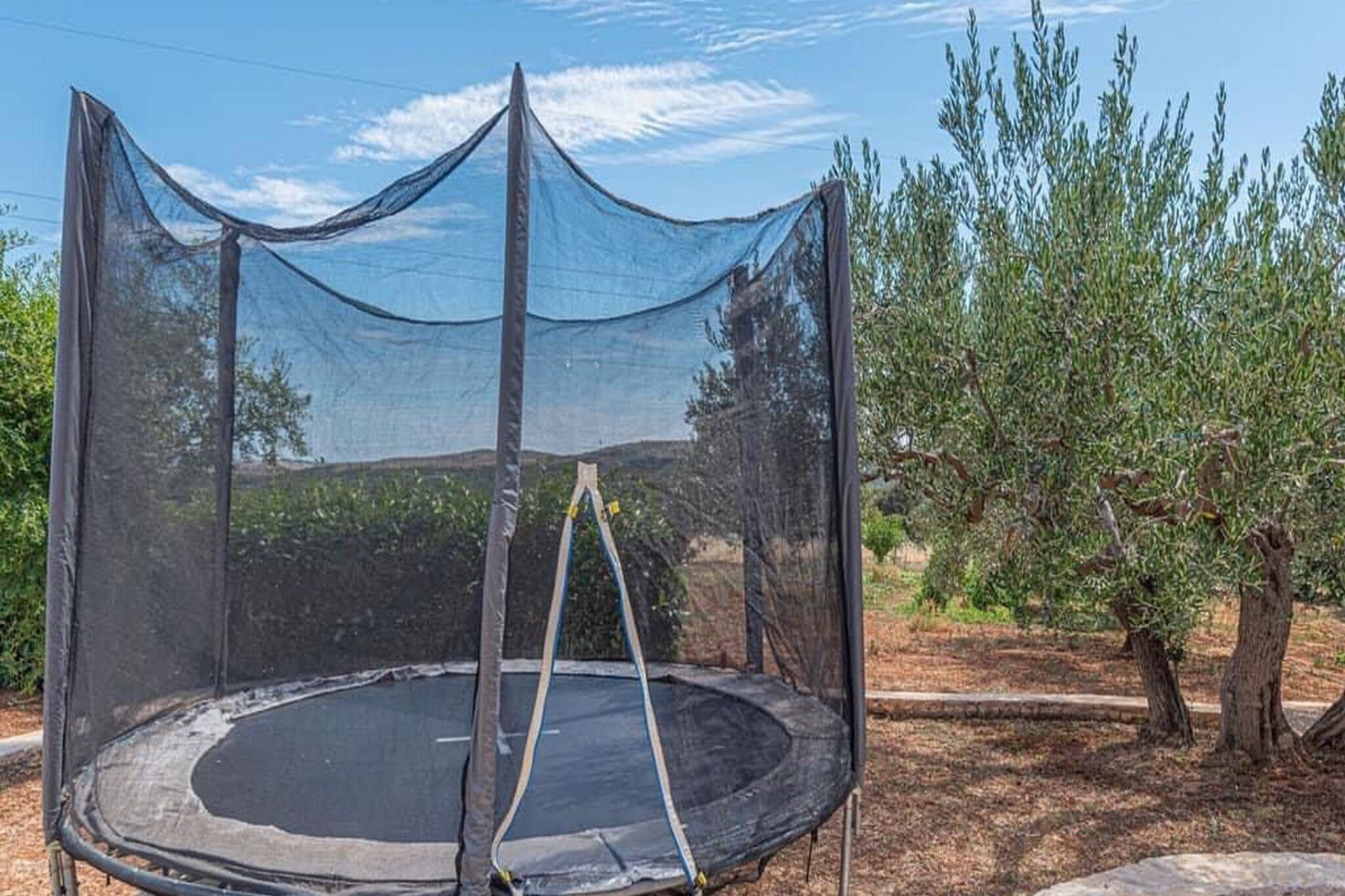 A trampoline with a safety net enclosure in an outdoor setting.