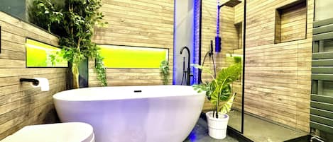 Ducha, secador de pelo, bidet, toallas