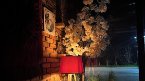 A brick wall with a red floor lamp, a fan, and a decorative plant arrangement. - Antika Hotel (Pec)