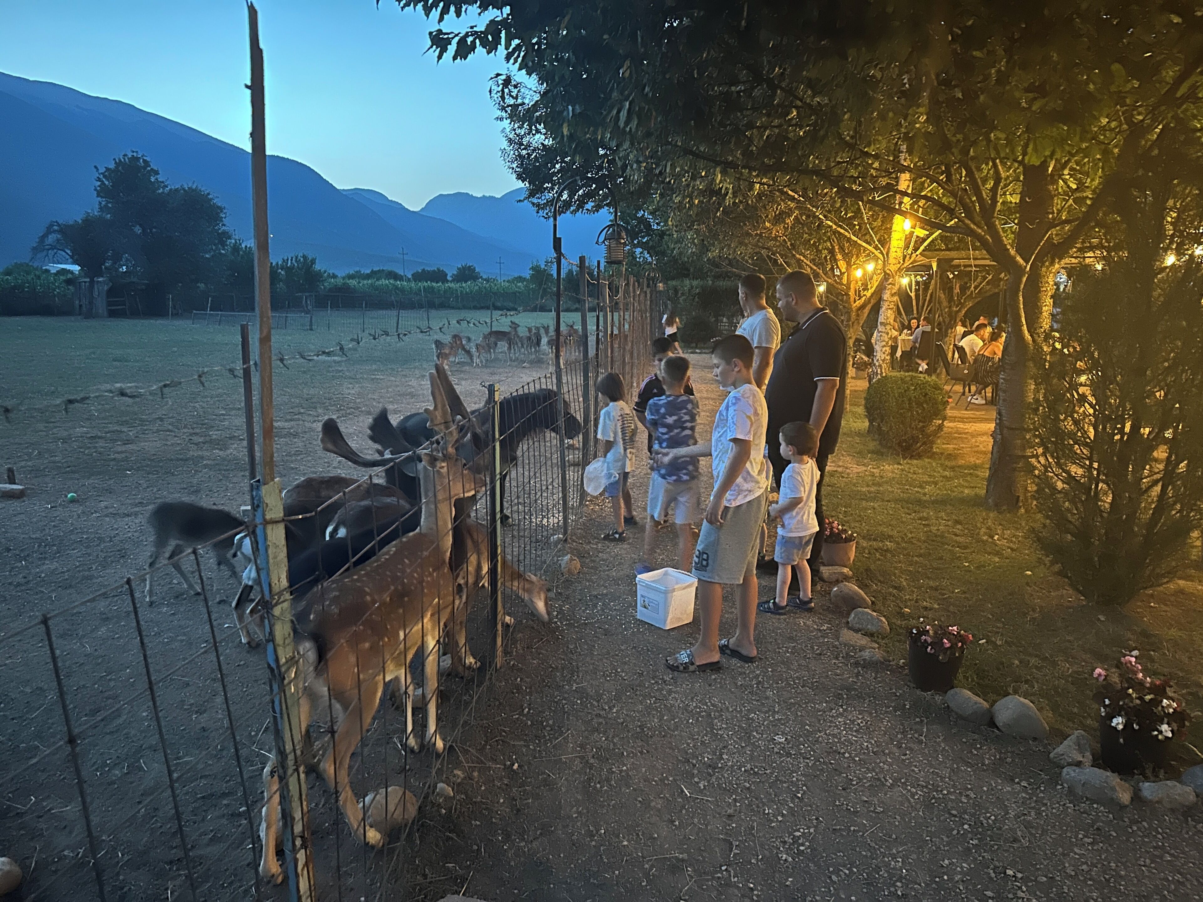 Eine Gruppe von Menschen beobachtet Tiere hinter einem Zaun in einer offenen Landschaft mit Bergen im Hintergrund.