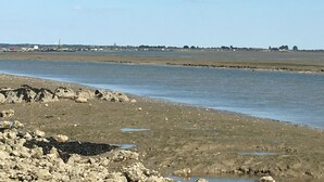 A coastal landscape with a river, rocky shore, and distant buildings.