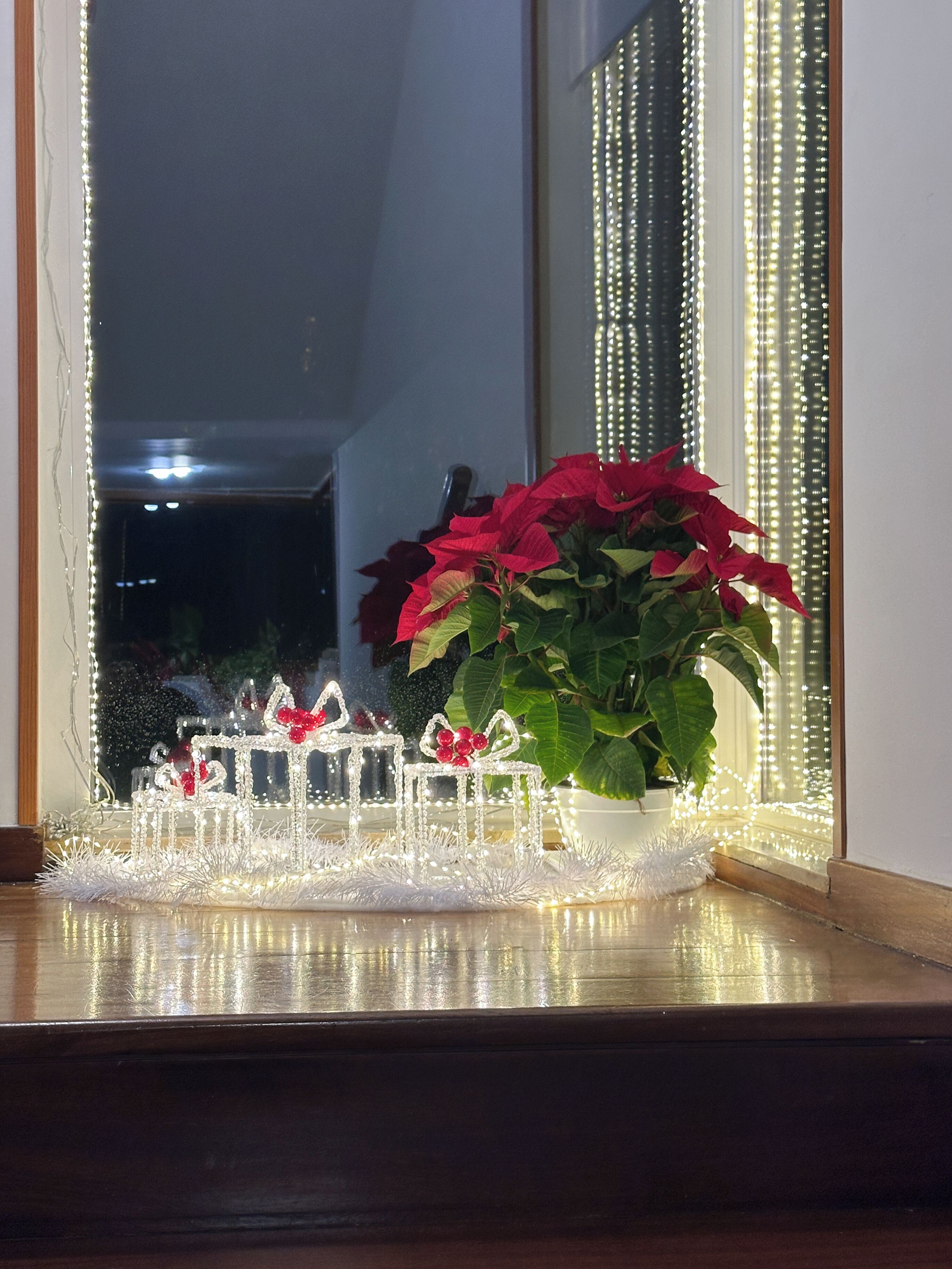 Foto - B&B Le foglie d'ulivo