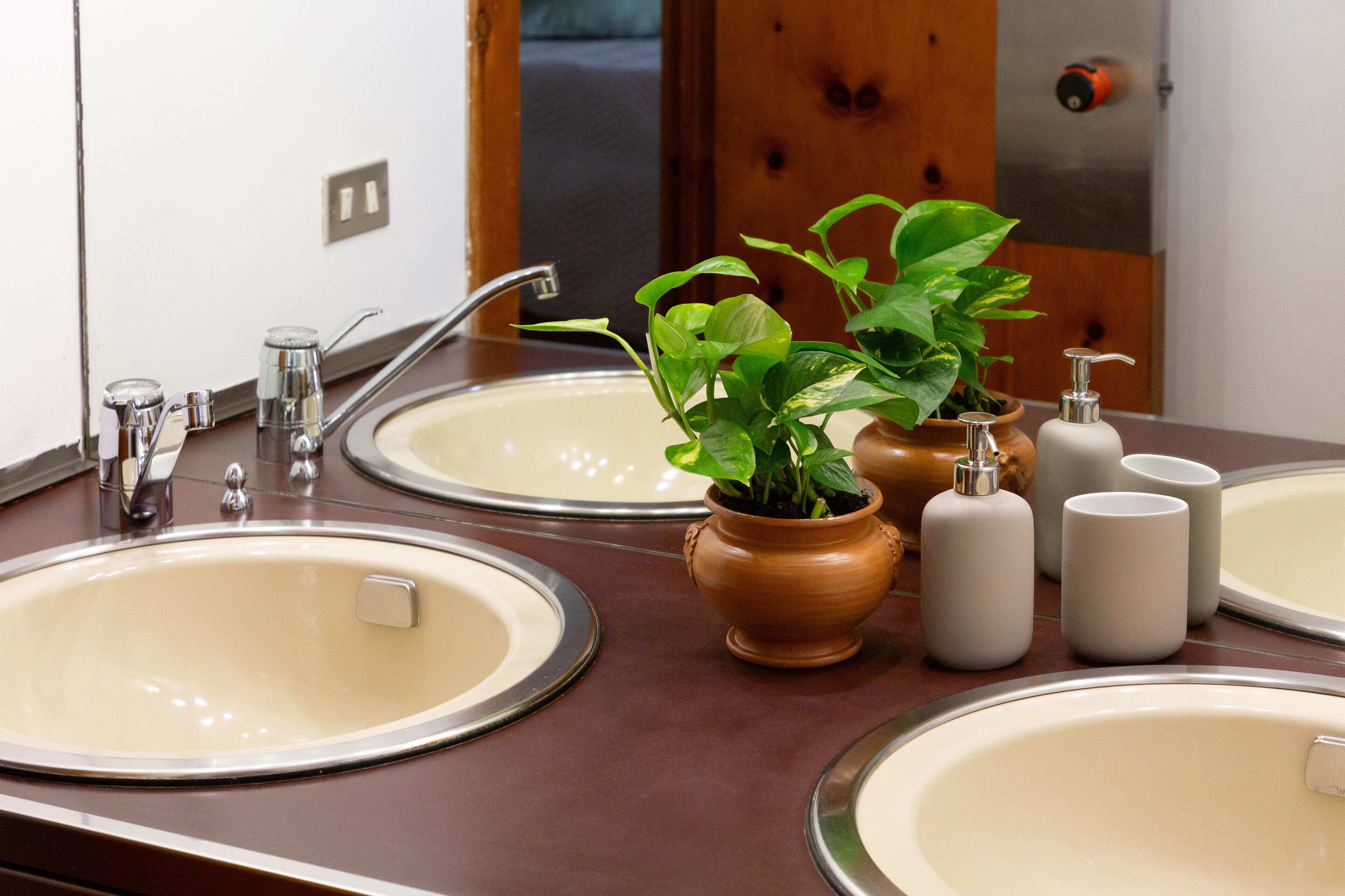 Foto - B&B Le foglie d'ulivo