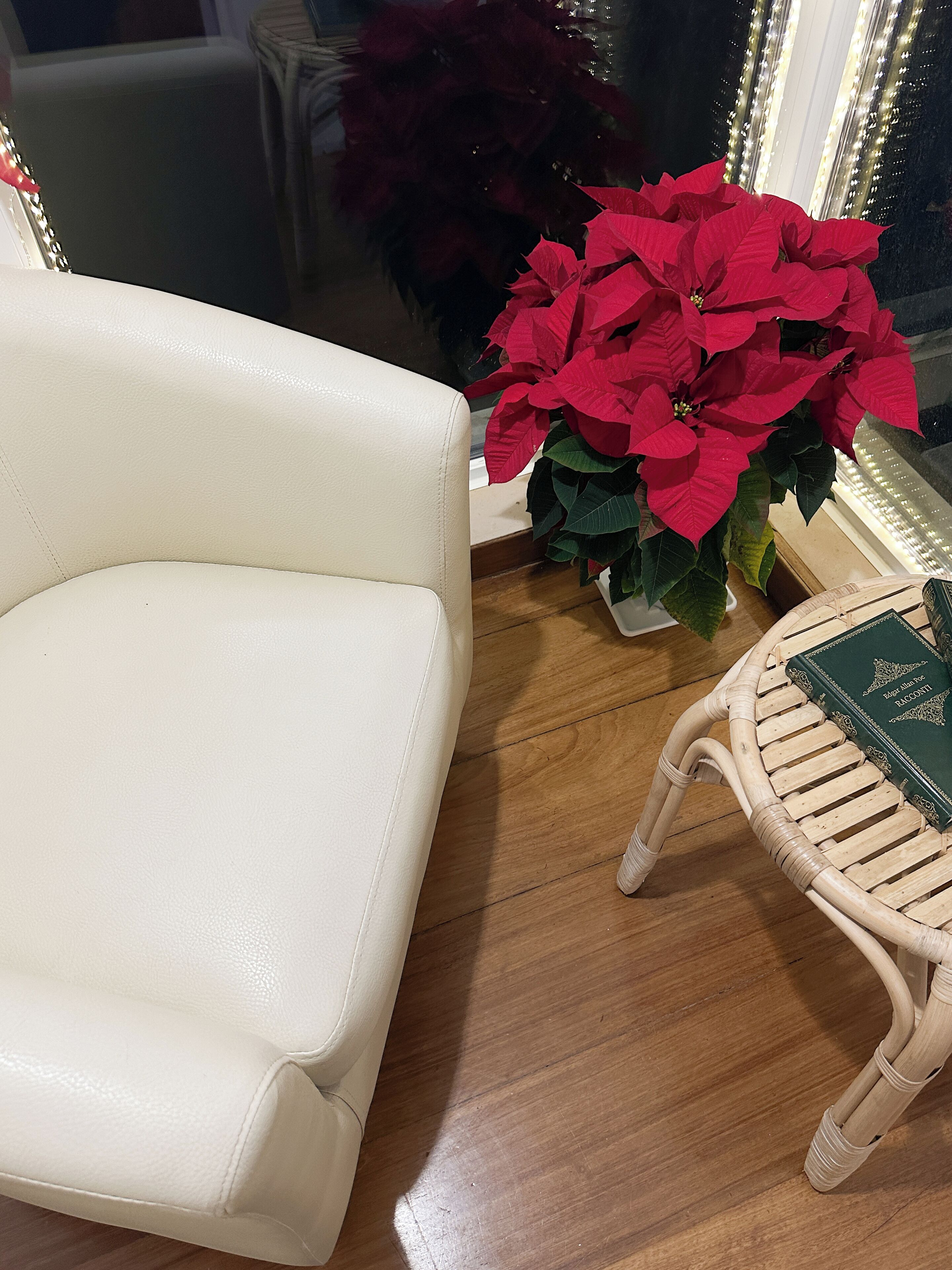 Foto - B&B Le foglie d'ulivo