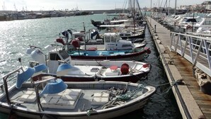A marina with several boats docked along a wooden pier. - Hotel Caleta  (Lloret de Mar)