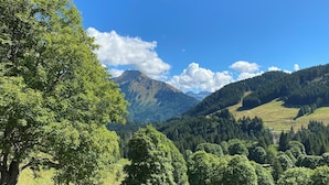 A mountainous landscape with dense forests and a clear sky. - Contemporary Apartment near ski lift - sleeps4/5 (Saint-Jean-d'Aulps)