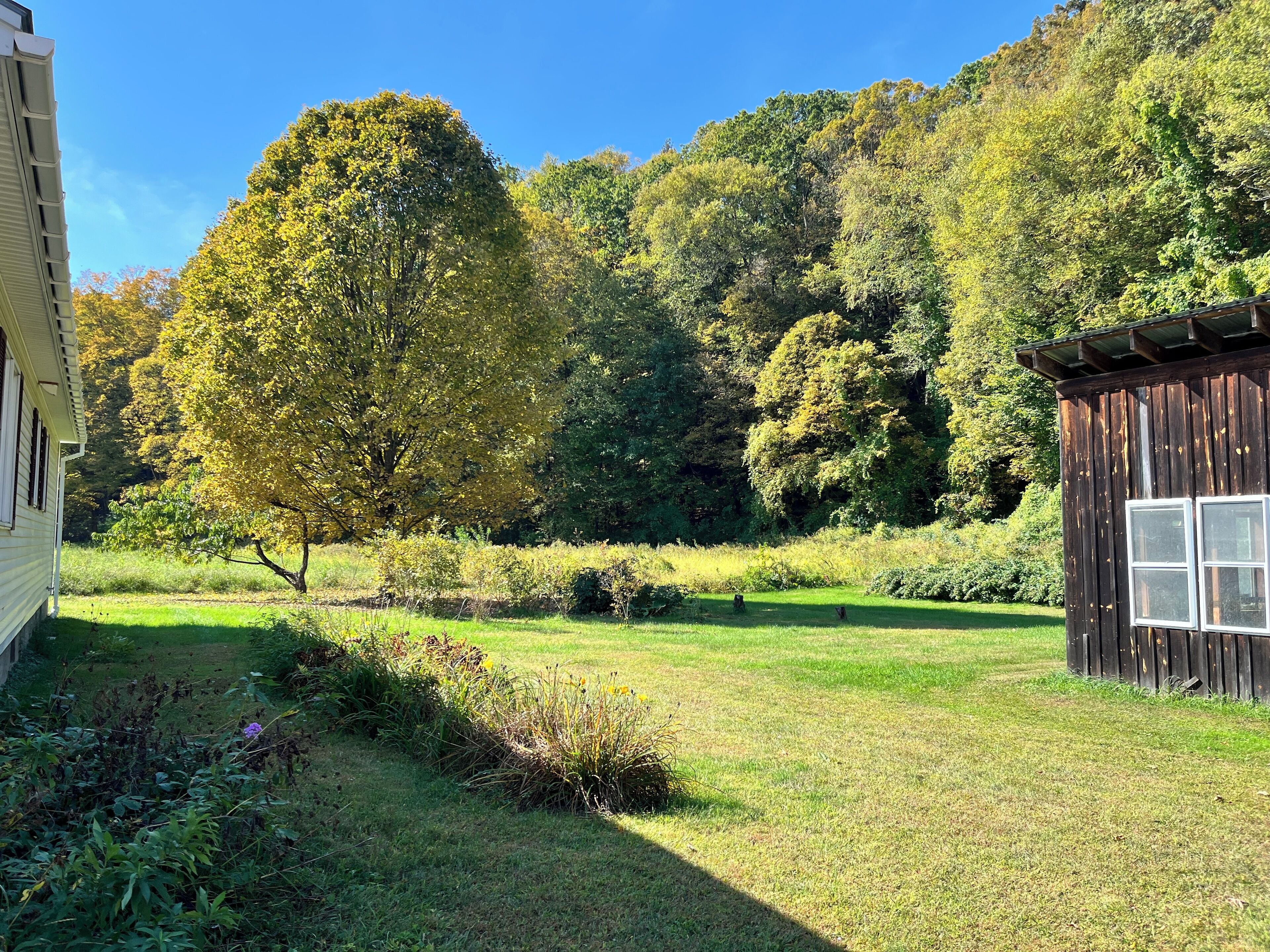 المنطقة المحيطة بالمنشأة