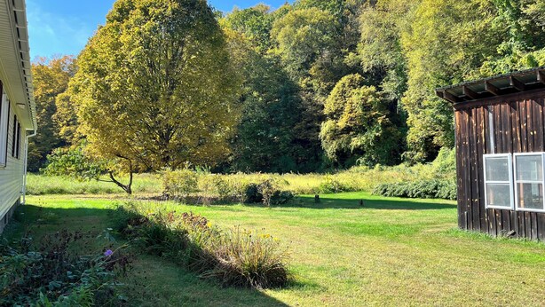 A rustic wooden cabin with a small window, surrounded by a lush green landscape and tall trees. - Quiet Country 2 Bedroom Home Near Bellows Falls & Walpole — Easy I-91 Access (Westminster)
