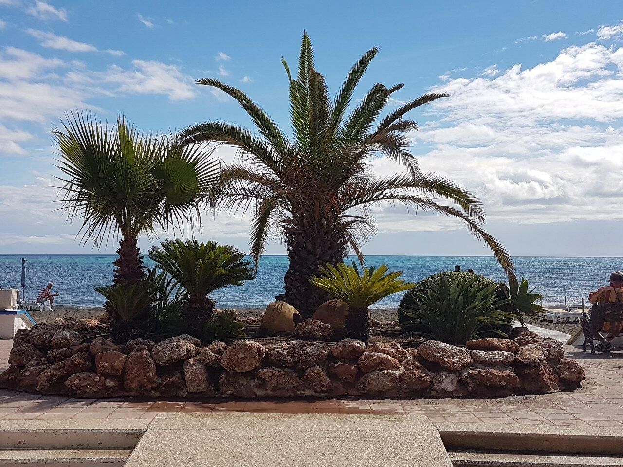 A coastal area with palm trees, a stone wall, and a view of the sea.