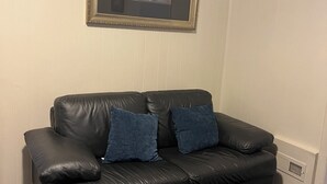 A black leather sofa with two blue cushions against a white paneled wall, under a framed picture.