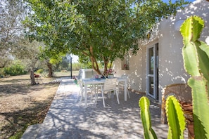 A patio with a table and chairs, a cactus, and a wicker chair.
