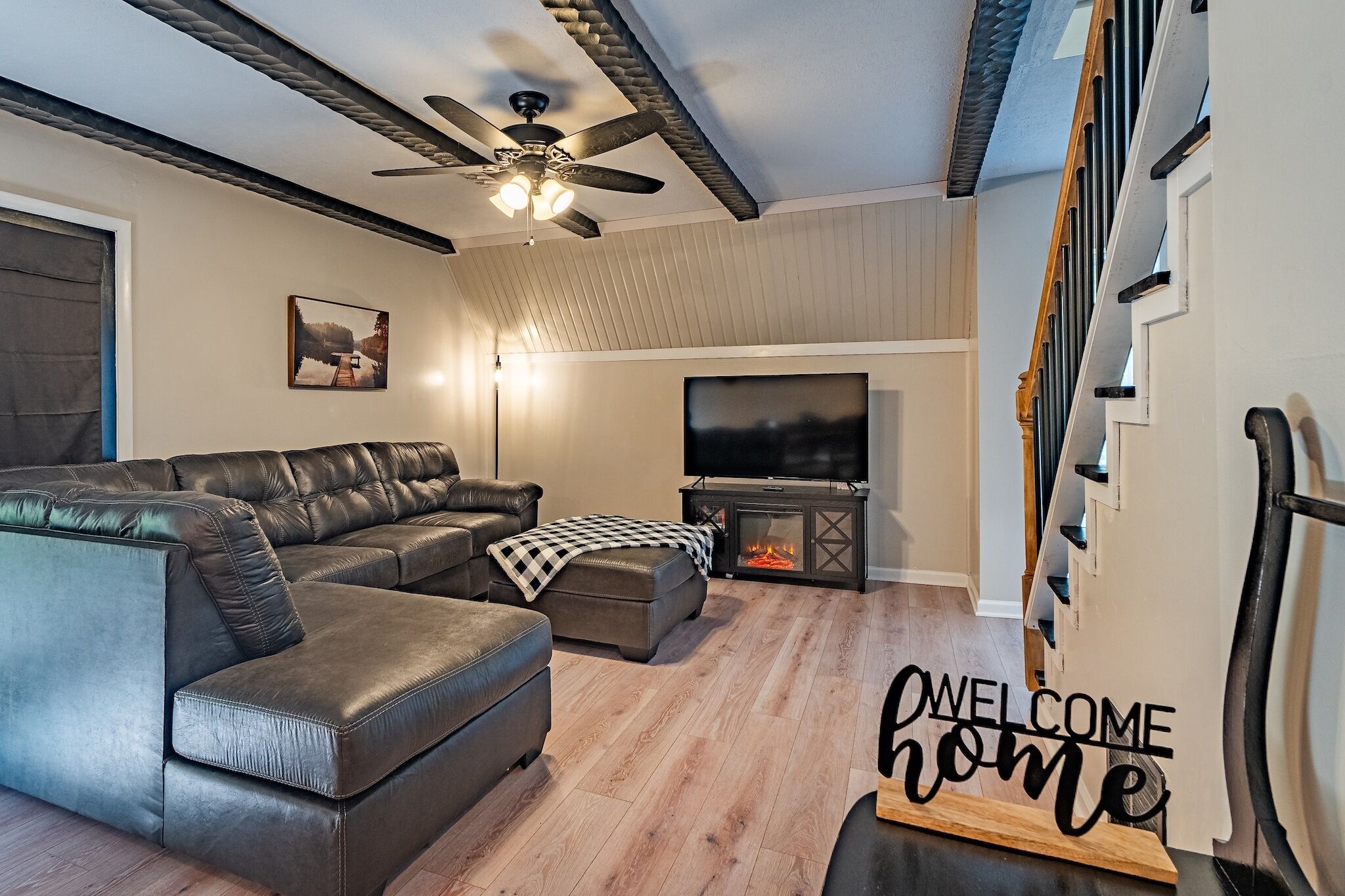 TV, fireplace, books