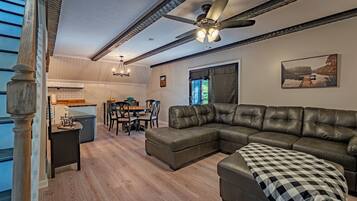 TV, fireplace, books