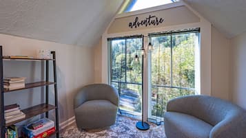 TV, fireplace, books