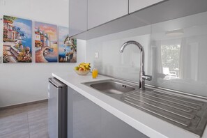 Fridge, oven, stovetop, cookware/dishes/utensils