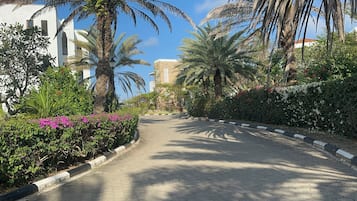 Área da propriedade