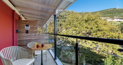 Room 'Deluxe Loft - C' with Shared Terrace, Wi-Fi and Air Conditioning