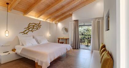 Room 'Deluxe Loft - C' with Shared Terrace, Wi-Fi and Air Conditioning