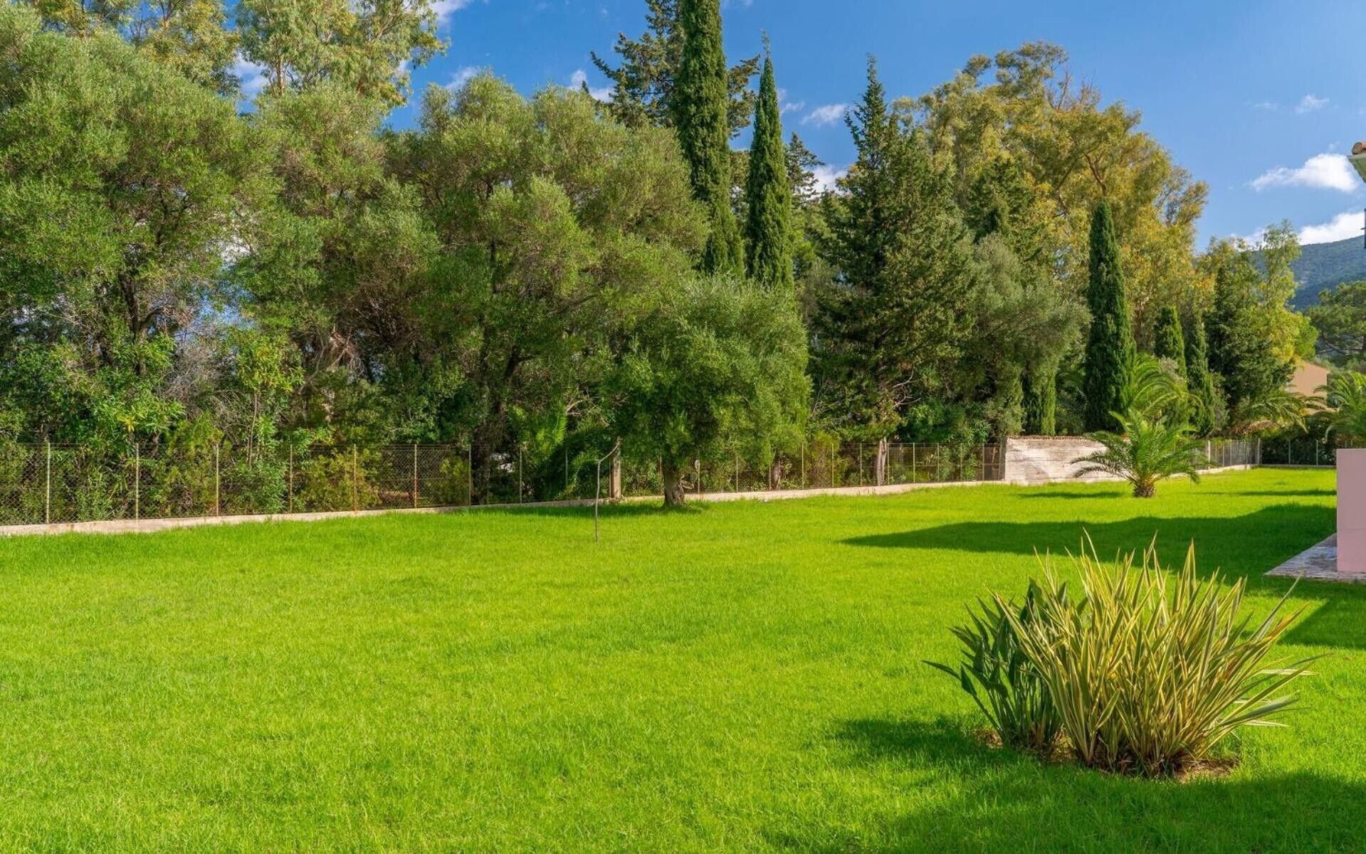 A well-maintained grassy area with a variety of trees and a stone structure.