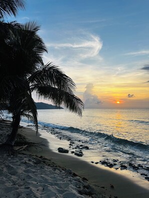 A beach with a palm tree, waves, and a sunset.