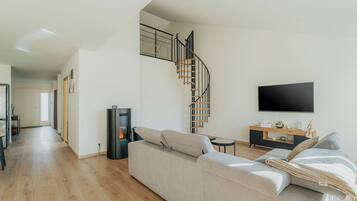 Televisión y chimenea