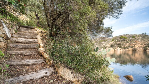 A wooden staircase leading down to a body of water, surrounded by vegetation and rocks. - Villa 'Sa Curcurica' with Sea View, Private Terrace and Wi-Fi (Orosei)