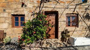 Ein Steinhaus mit Holztür, zwei Fenstern und einem Blumentopf mit roten Blüten.