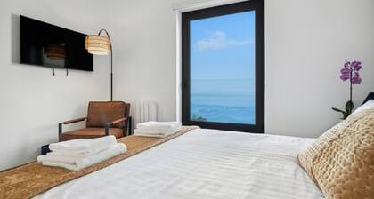 Casa Afonso in Funchal