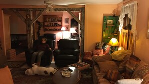 Un salon chaleureux avec une cheminée, un chien, une personne assise sur une chaise et une porte verte.