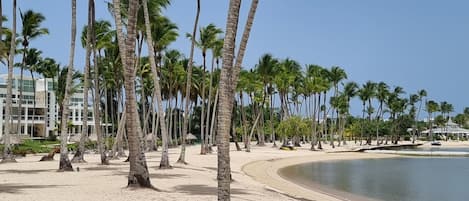 Plage à proximité, chaises longues, serviettes de plage