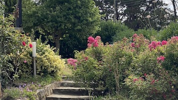 Ărea da propriedade