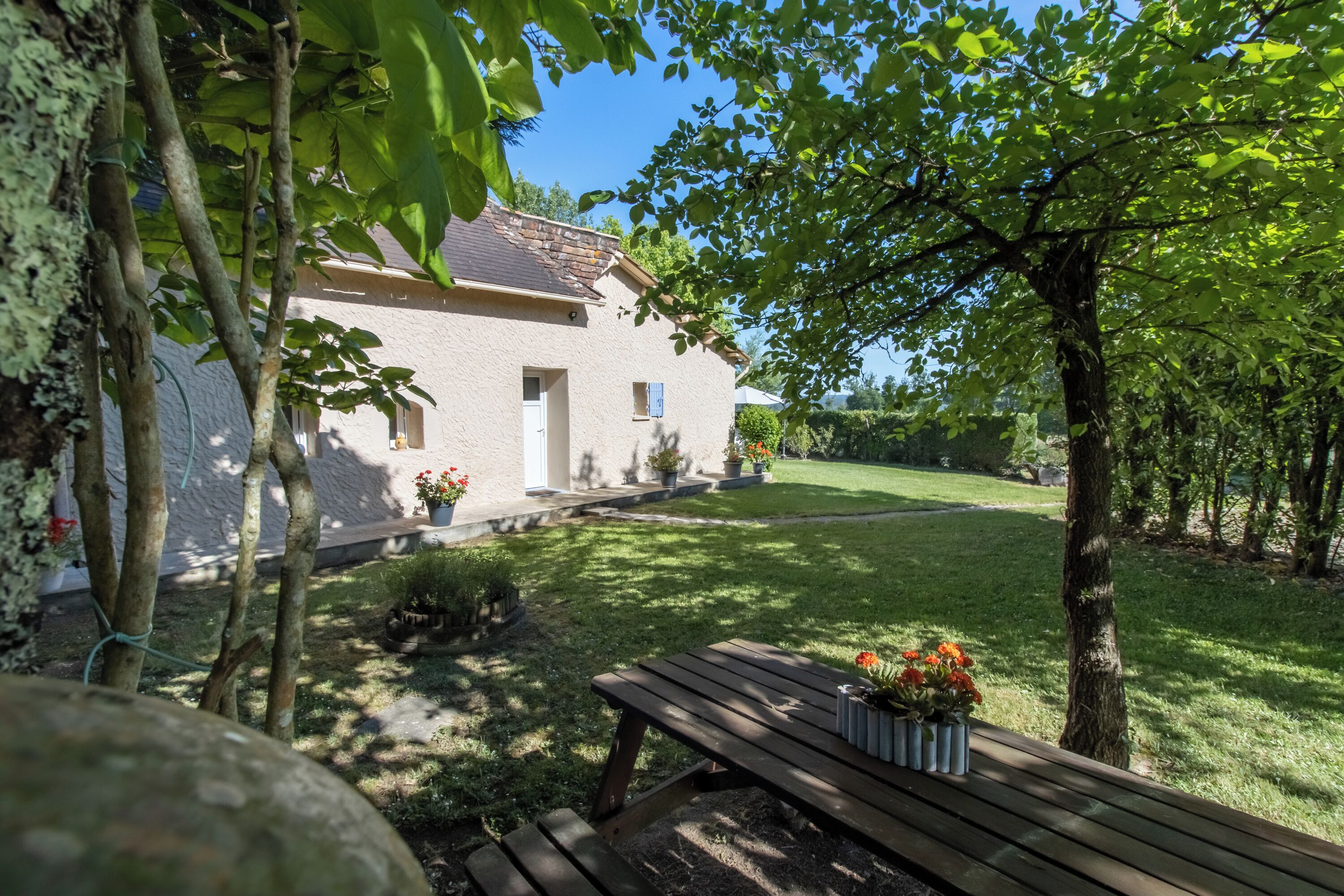 テラス / パティオ