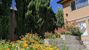 Un jardín con diversas flores y un árbol grande.