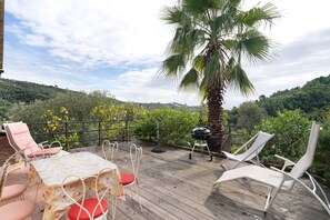 Une terrasse en bois avec une table et des chaises, un barbecue et un palmier.