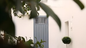 A courtyard with a grey door, potted plants, and a small tree.